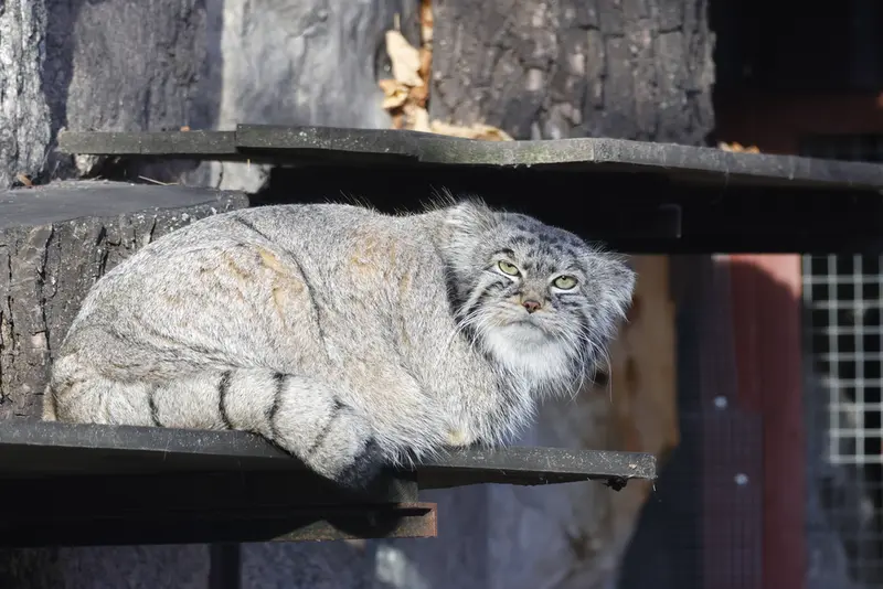 A photograph of Timofey in Moscow zoo