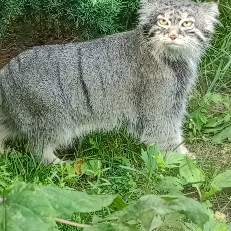 A photograph of Timofey in Moscow zoo