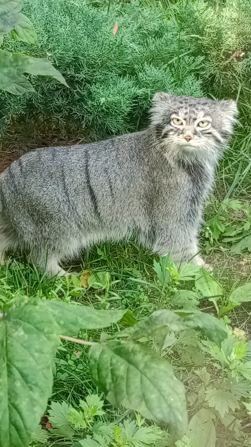 A photograph of Timofey in Moscow zoo