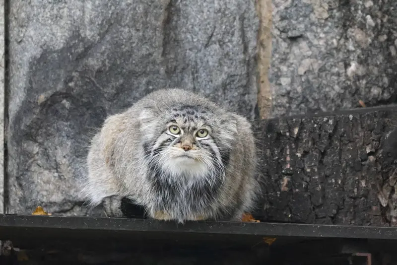 A photograph of Timofey in Moscow zoo
