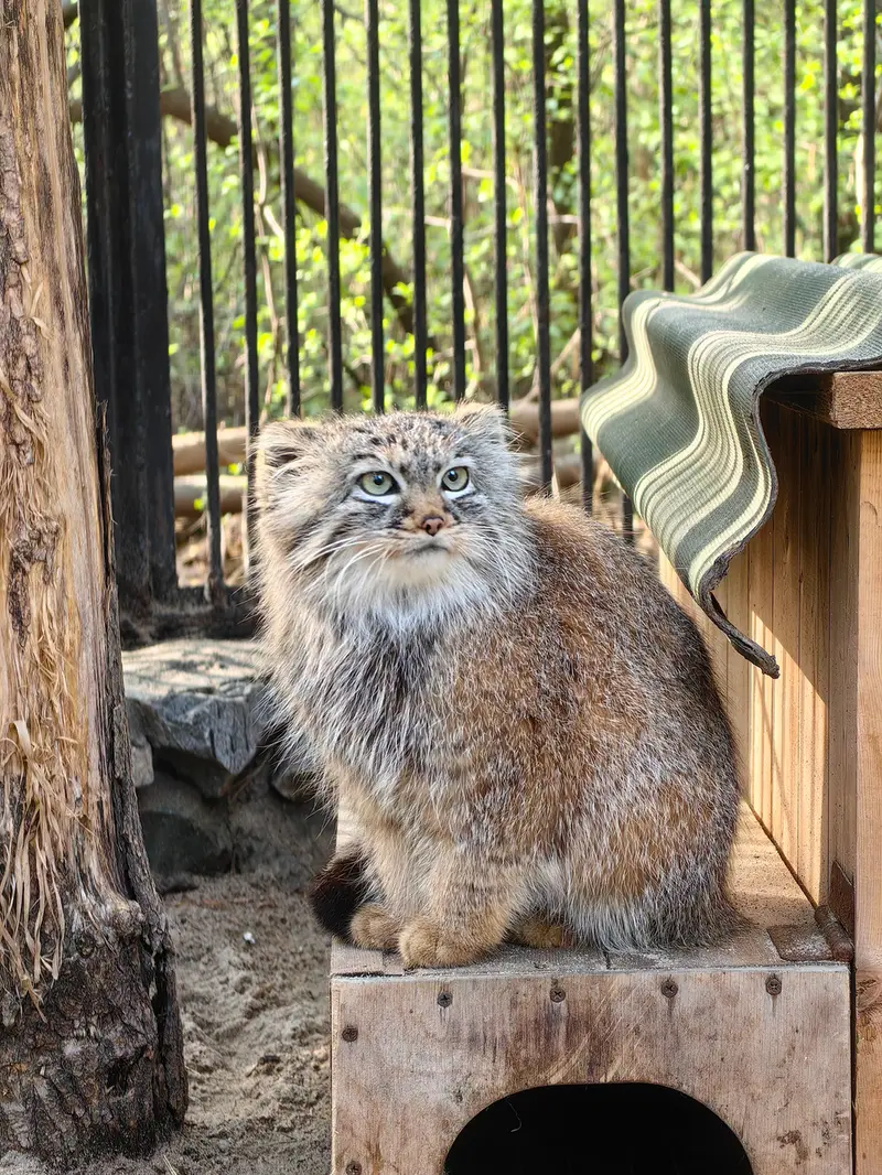 A photograph of Gabi in Novosibirsk Zoo