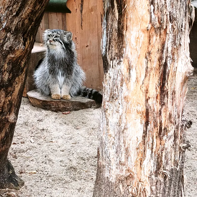 A photograph of Anya in Novosibirsk Zoo