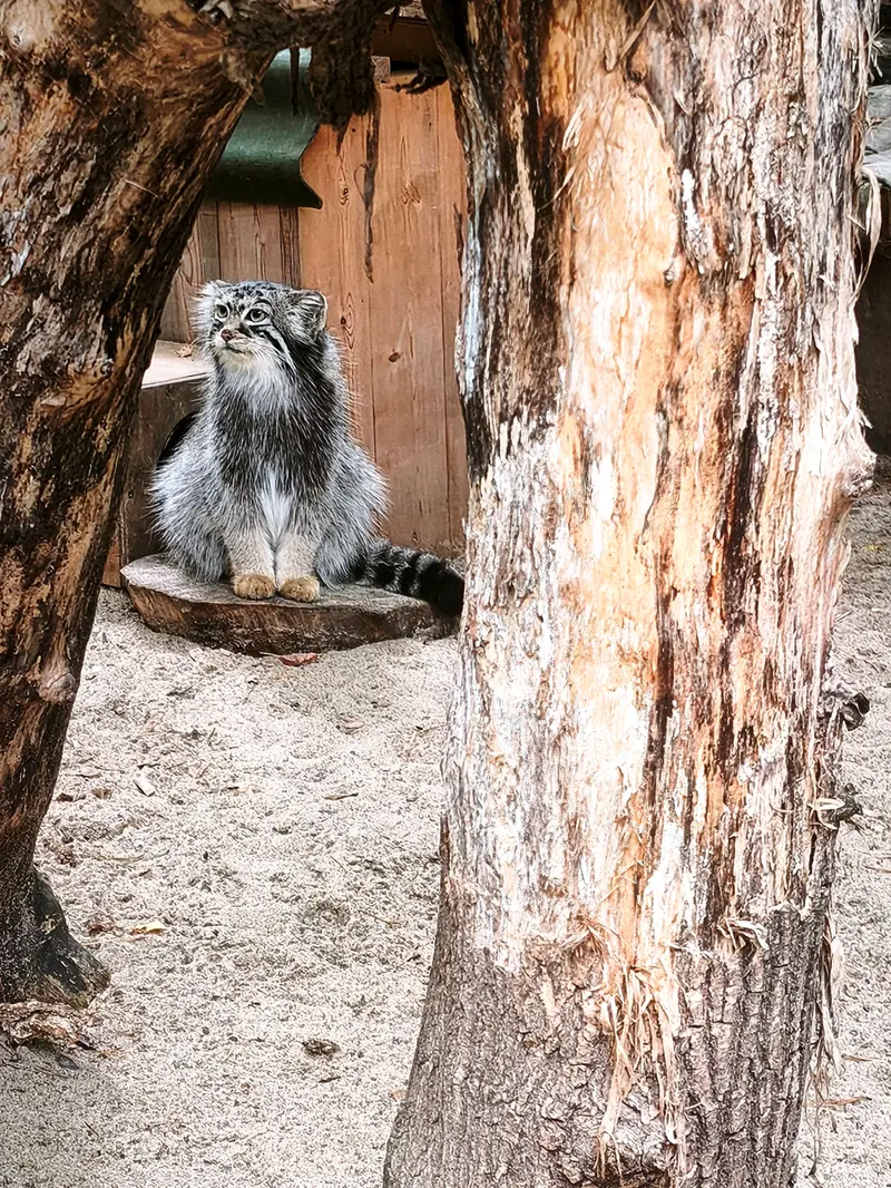 A photograph of Anya in Novosibirsk Zoo