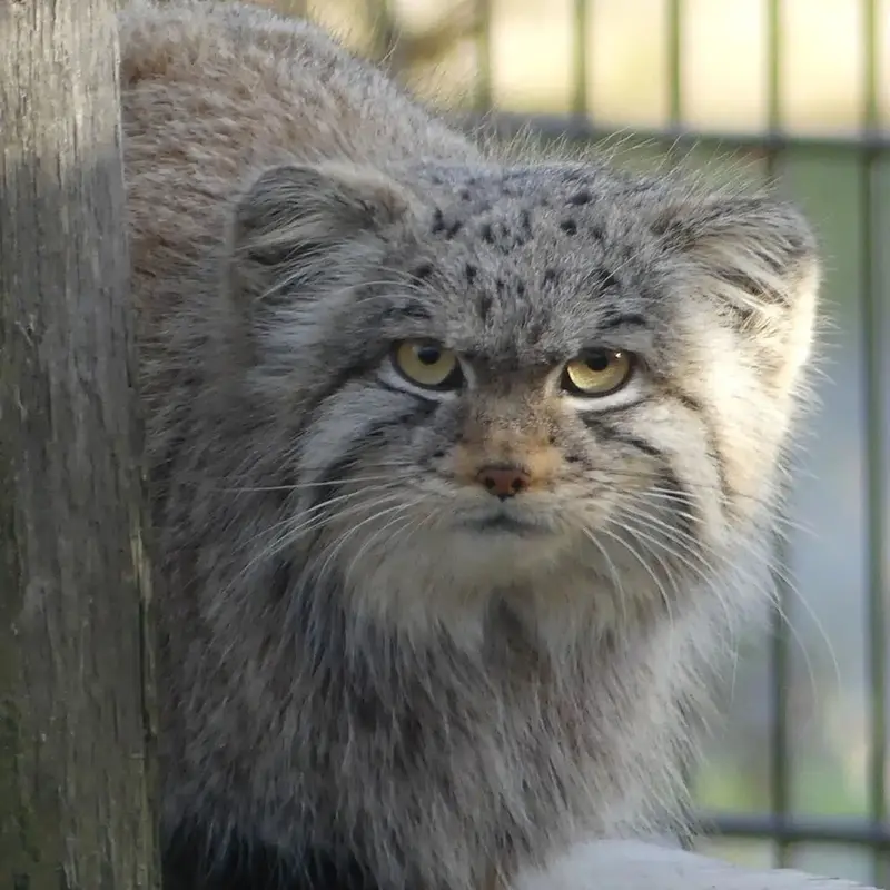 A photograph of Saran in Bio-Topia Dunkerque