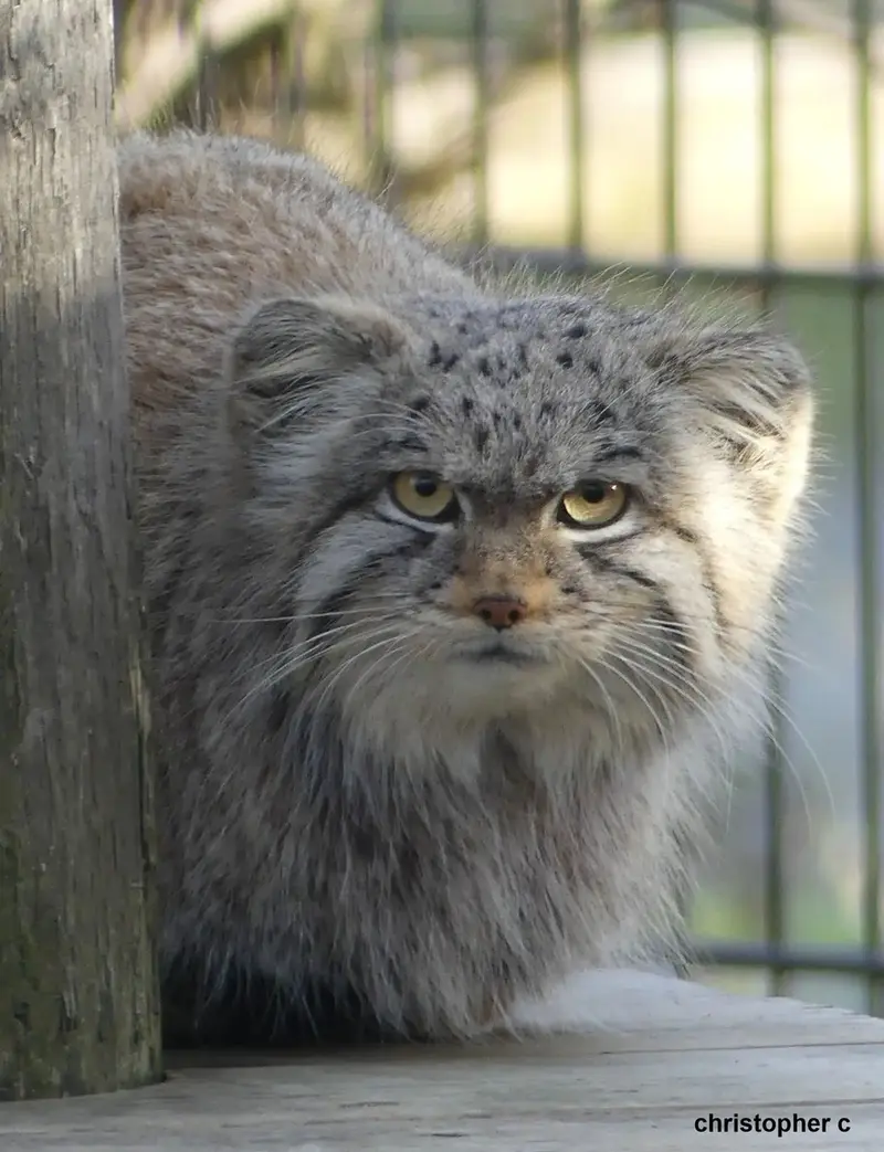 A photograph of Saran in Bio-Topia Dunkerque