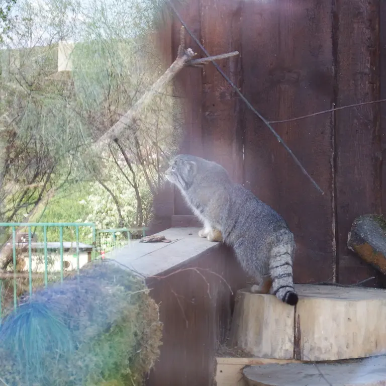A photograph of Boris in Royev Ruchey