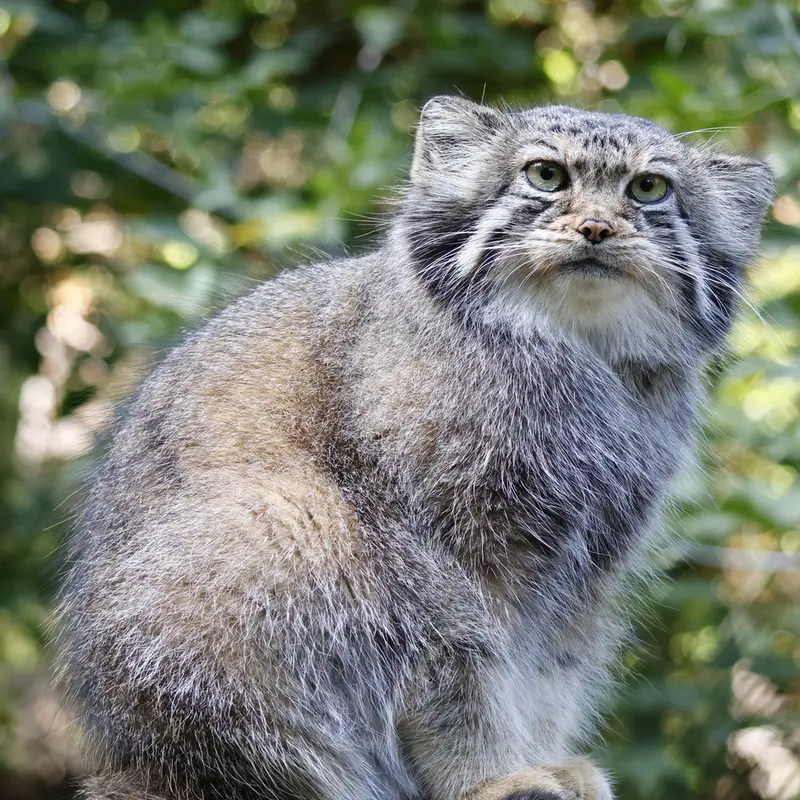 A photograph of Eve in Novosibirsk Zoo