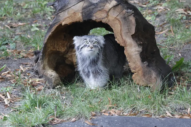 A photograph of Timofey in Moscow zoo