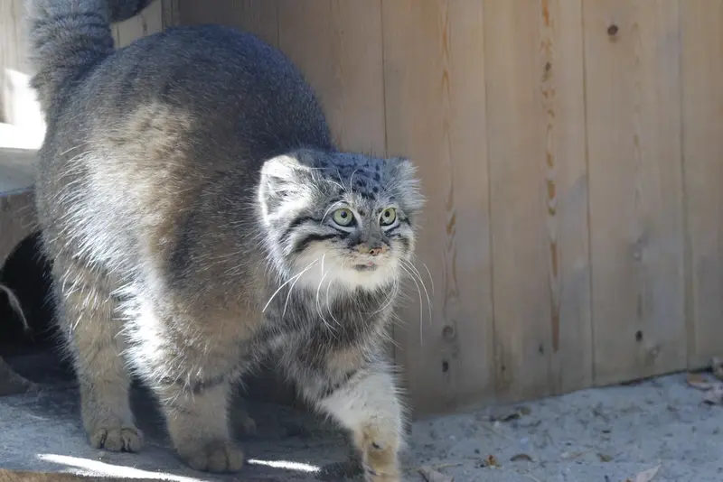 A photograph of Anya in Novosibirsk Zoo