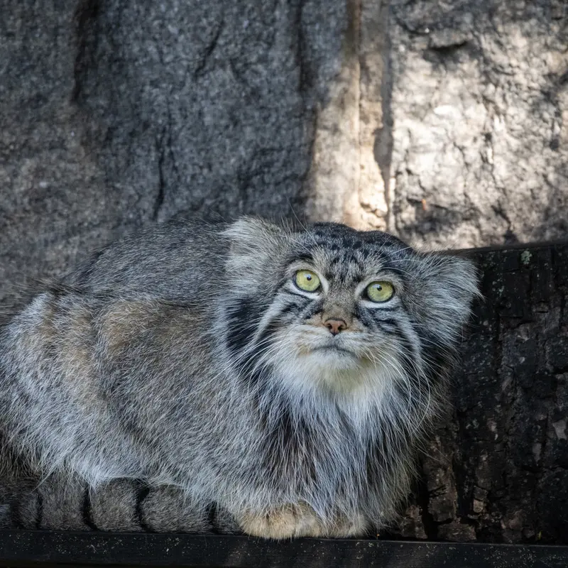 A photograph of Timofey in Moscow zoo