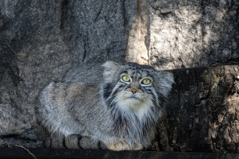 A photograph of Timofey in Moscow zoo