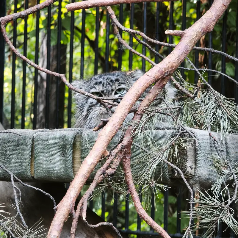 A photograph of Gabi in Novosibirsk Zoo