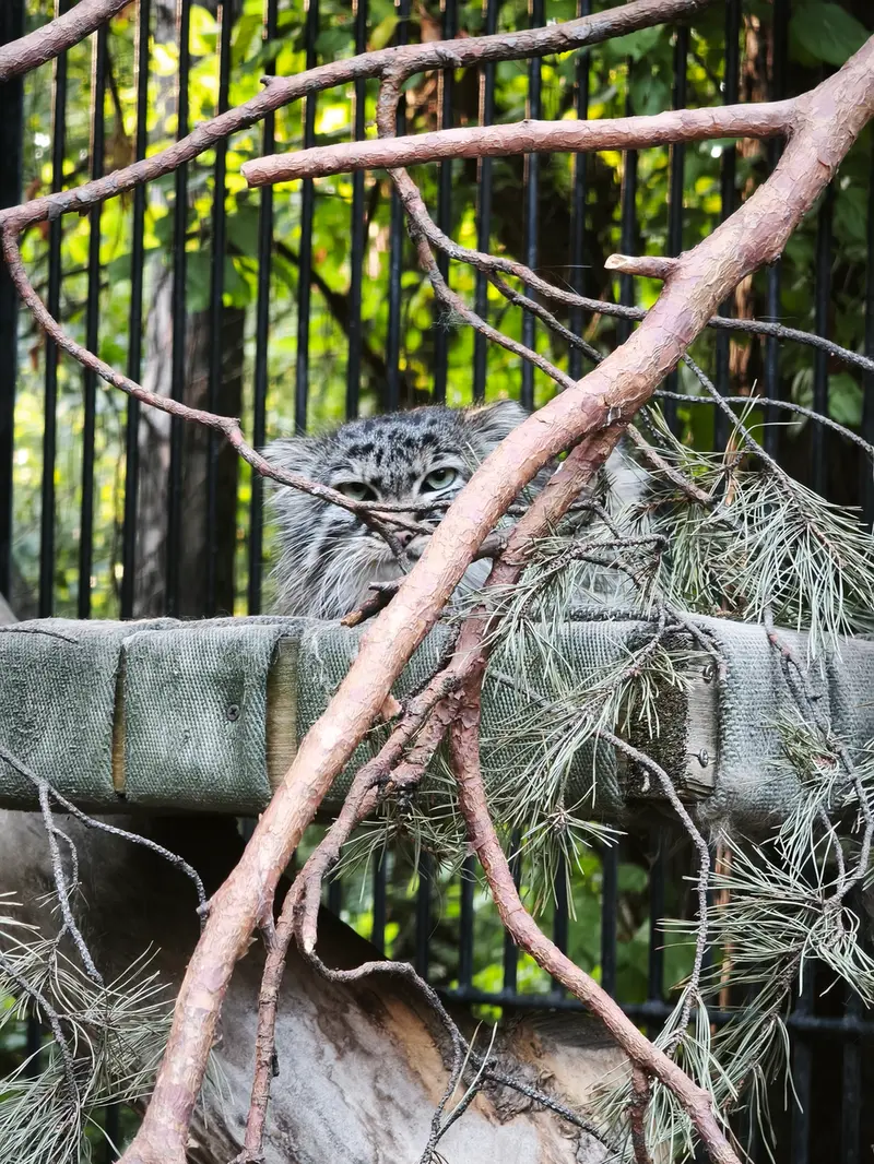 A photograph of Gabi in Novosibirsk Zoo