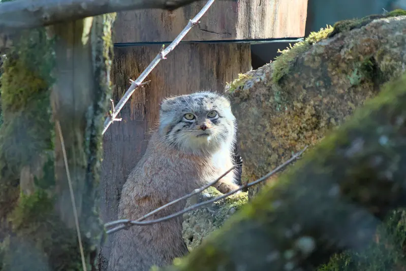 A photograph of Pluschi in Hellabrunn zoo