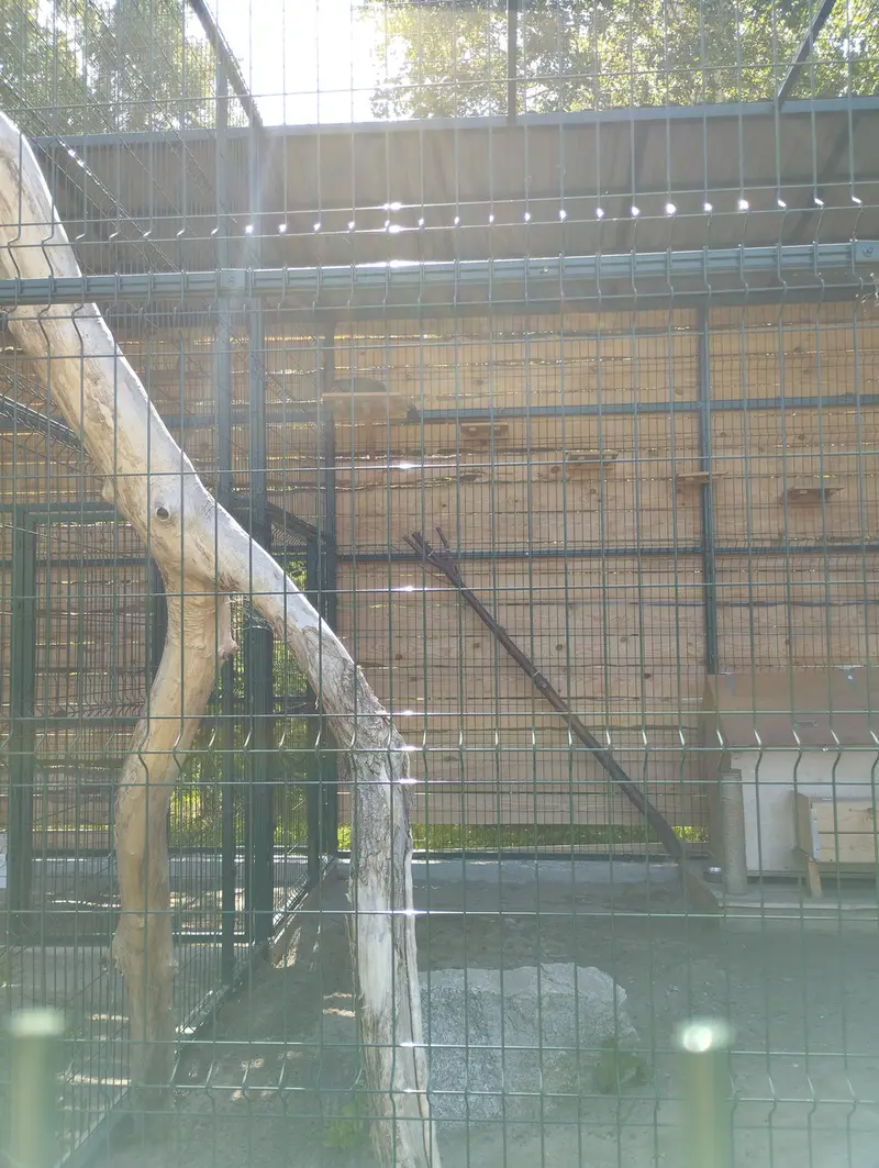 A photograph of Chip in Barnaul zoo “Lesnaya skazka”