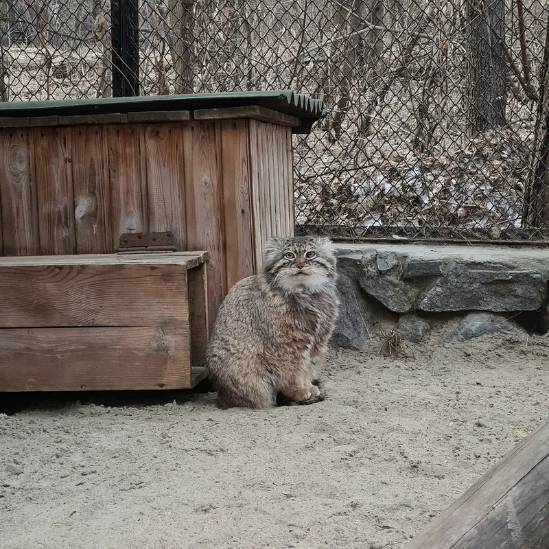 A photograph of Zelenogorsk in Novosibirsk Zoo