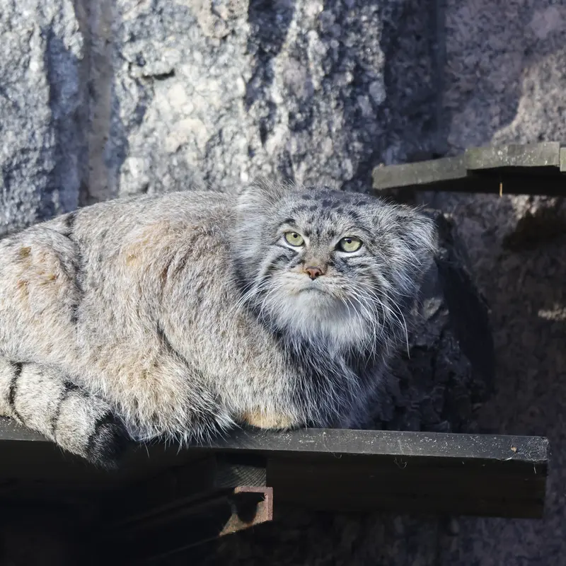 A photograph of Timofey in Moscow zoo