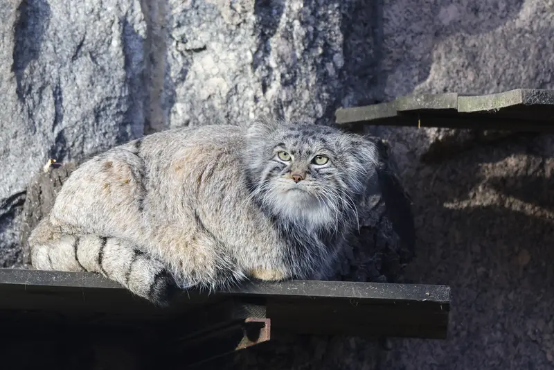 A photograph of Timofey in Moscow zoo