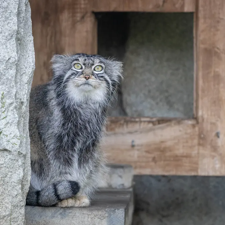 A photograph of Timofey in Moscow zoo