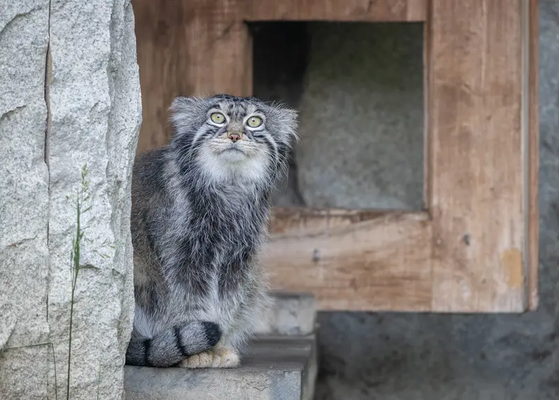 A photograph of Timofey in Moscow zoo