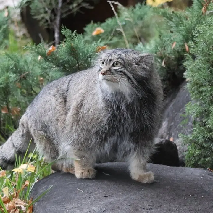 A photograph of Timofey in Moscow zoo