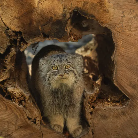 A photograph of Moira in Ostrava Zoo