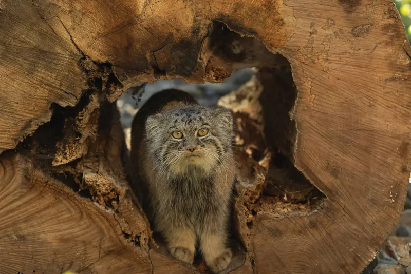 A photograph of Moira in Ostrava Zoo