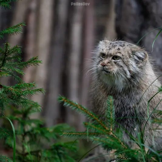 A photograph of Melissa in Lithuanian Zoo