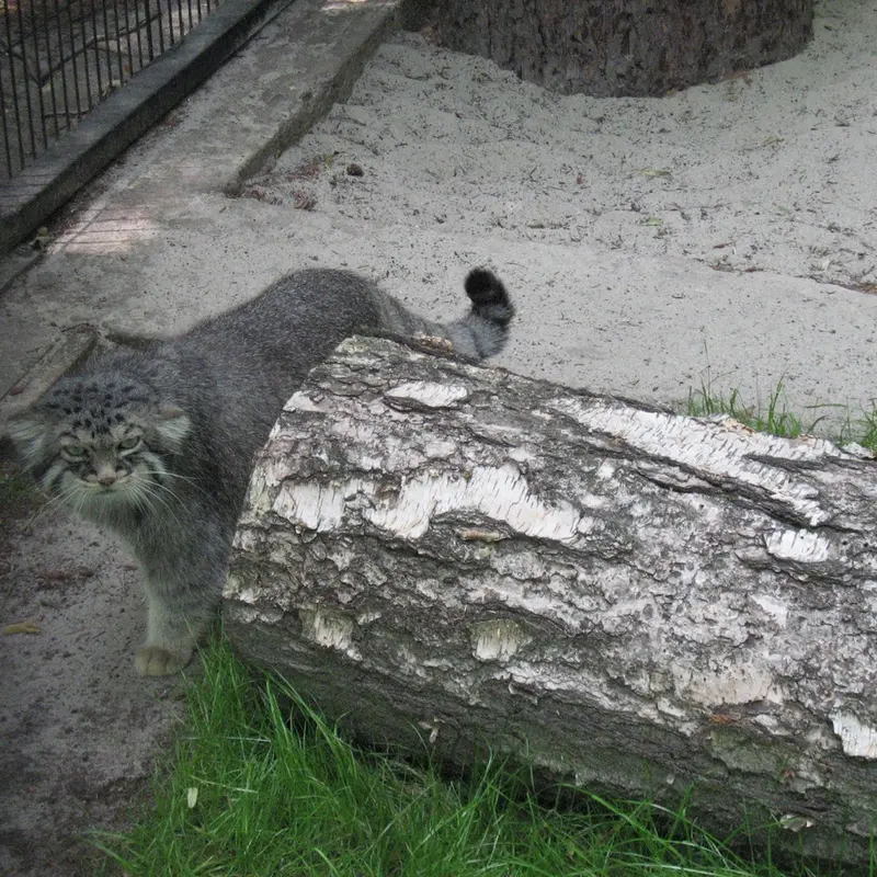 A photograph of Manuel in Kraków Zoo