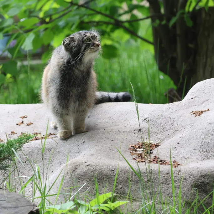 A photograph of Timofey in Moscow zoo