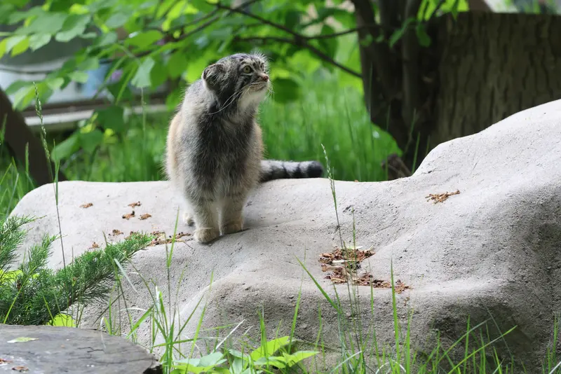A photograph of Timofey in Moscow zoo