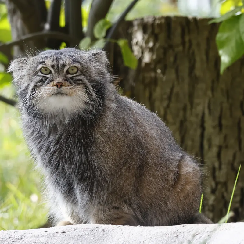 A photograph of Timofey in Moscow zoo