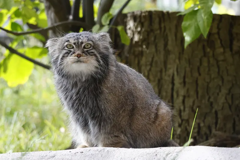 A photograph of Timofey in Moscow zoo