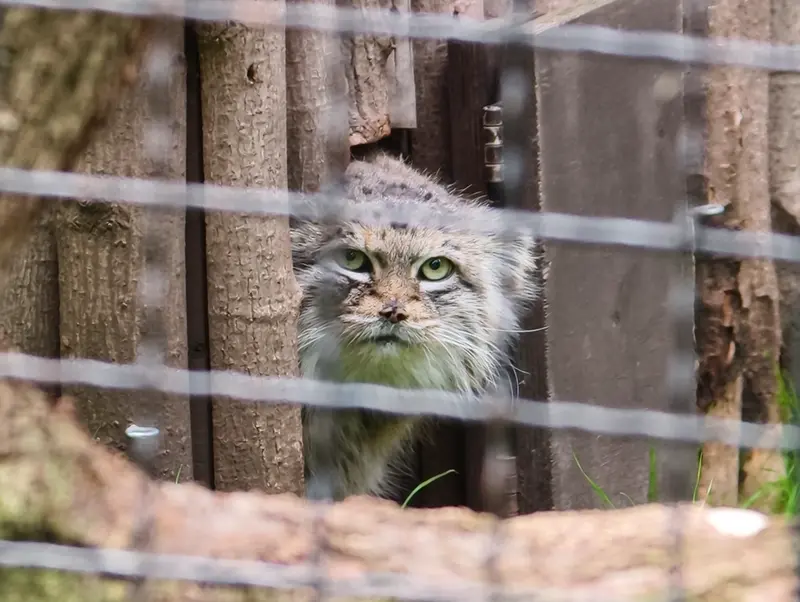 A photograph of Jessie in Warsaw Zoo