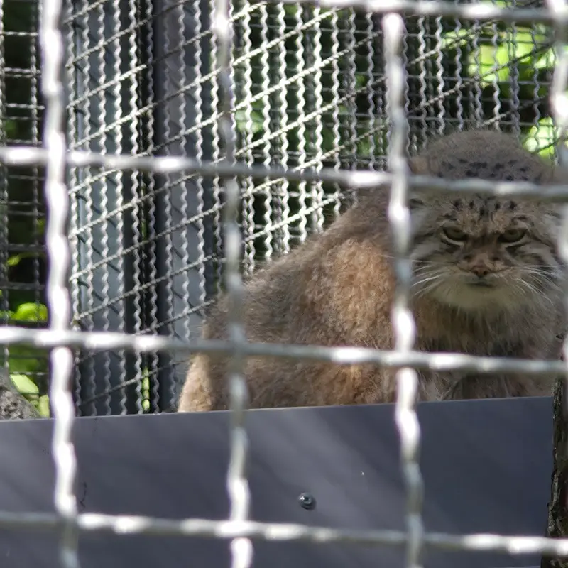 A photograph of Melissa in Lithuanian Zoo