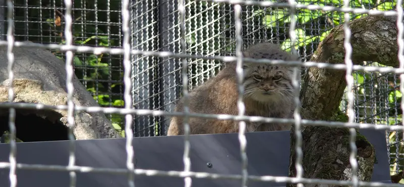A photograph of Melissa in Lithuanian Zoo