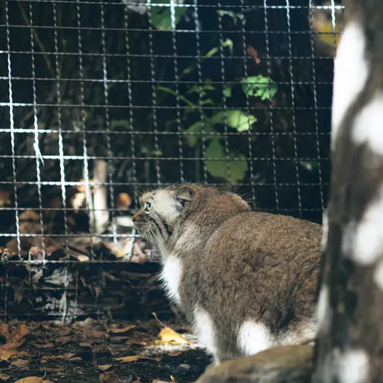 A photograph of Melissa in Lithuanian Zoo