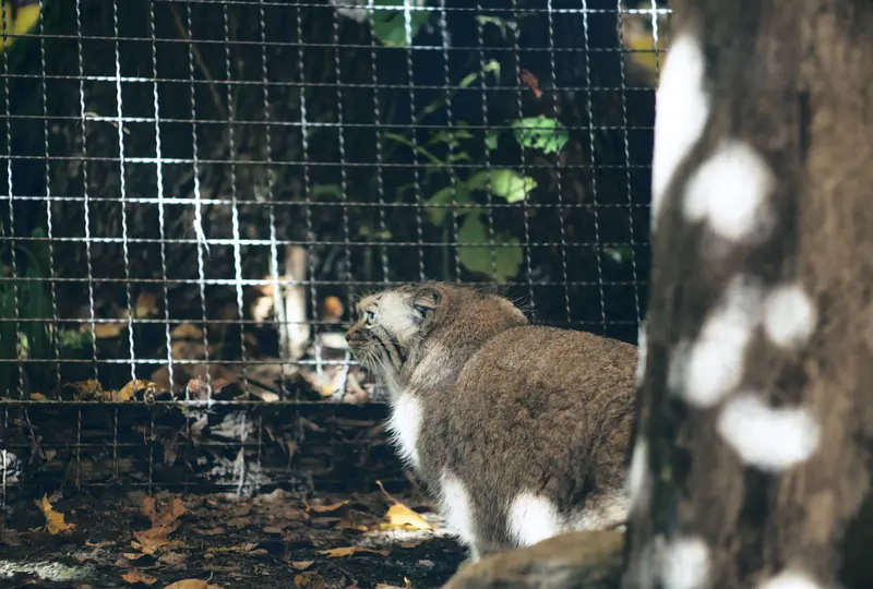 A photograph of Melissa in Lithuanian Zoo