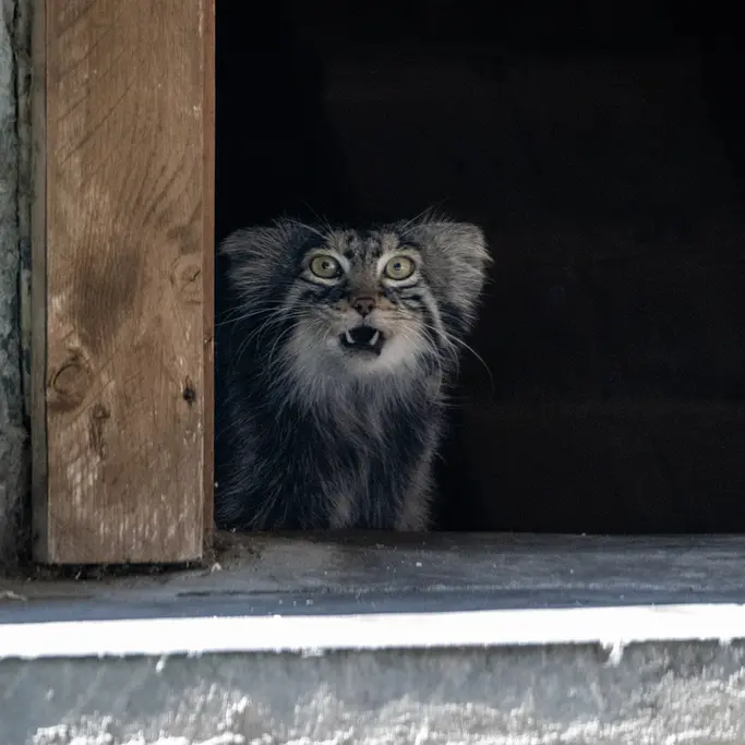 A photograph of Timofey in Moscow zoo