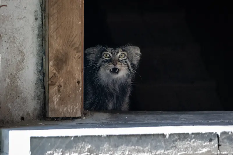 A photograph of Timofey in Moscow zoo