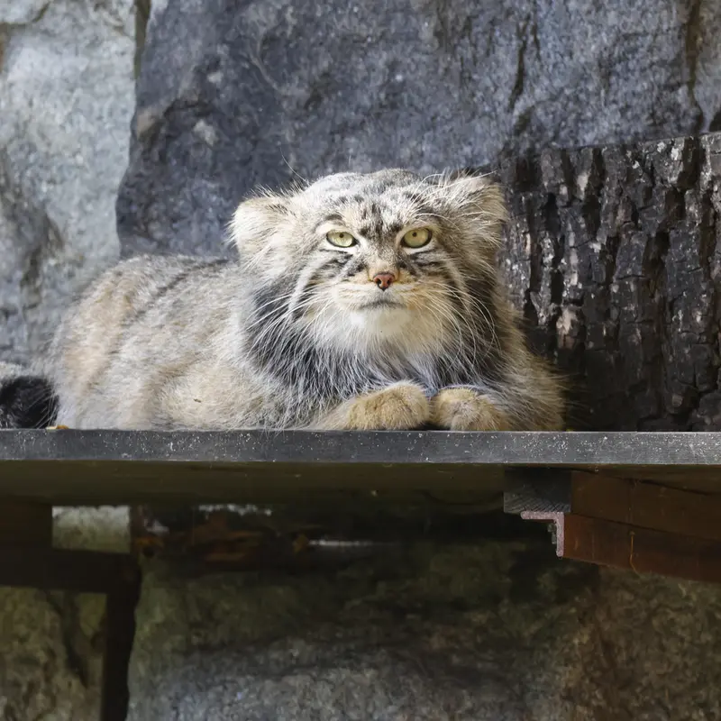 A photograph of Timofey in Moscow zoo