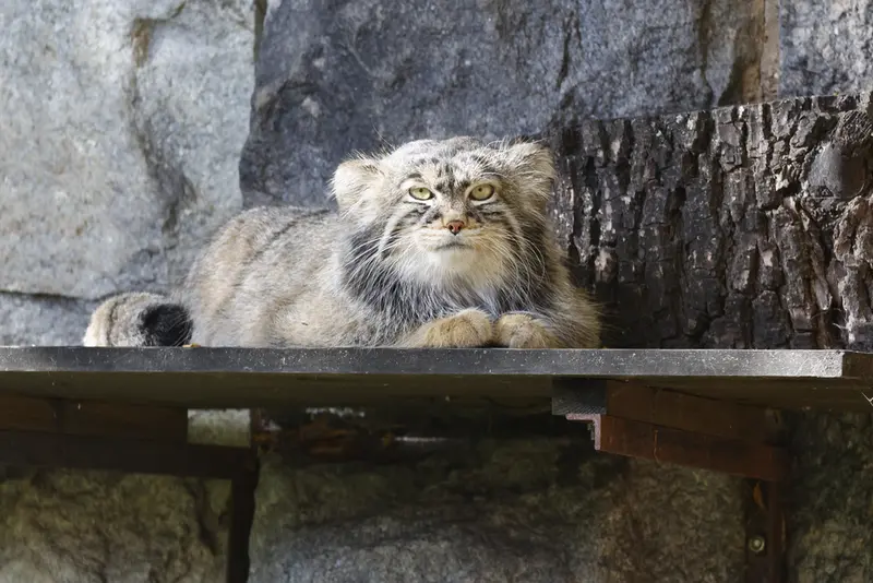 A photograph of Timofey in Moscow zoo
