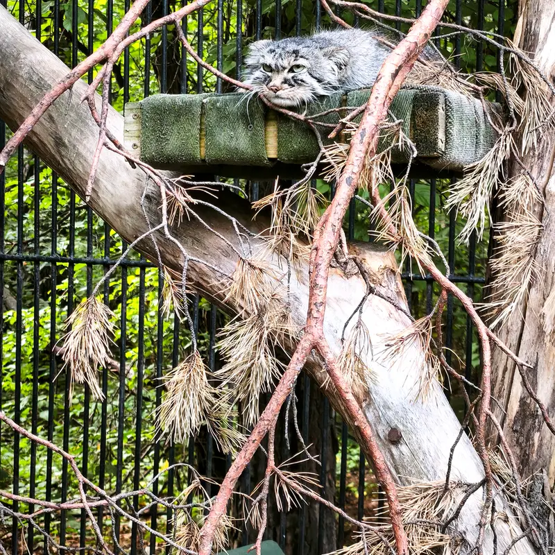 A photograph of Gabi in Novosibirsk Zoo