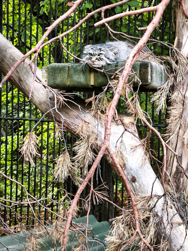 A photograph of Gabi in Novosibirsk Zoo