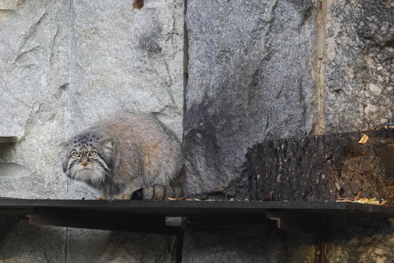 A photograph of Timofey in Moscow zoo