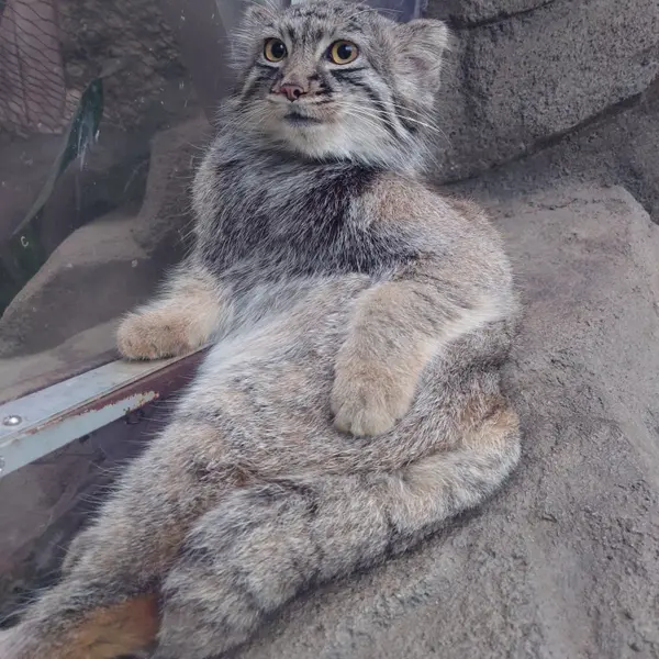 A photograph of Teru in Kobe Animal Kingdom