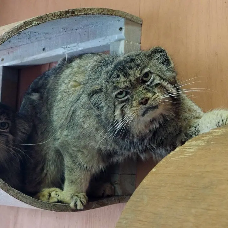 A photograph of Sebastian and Marie in Saitama Children's Zoo