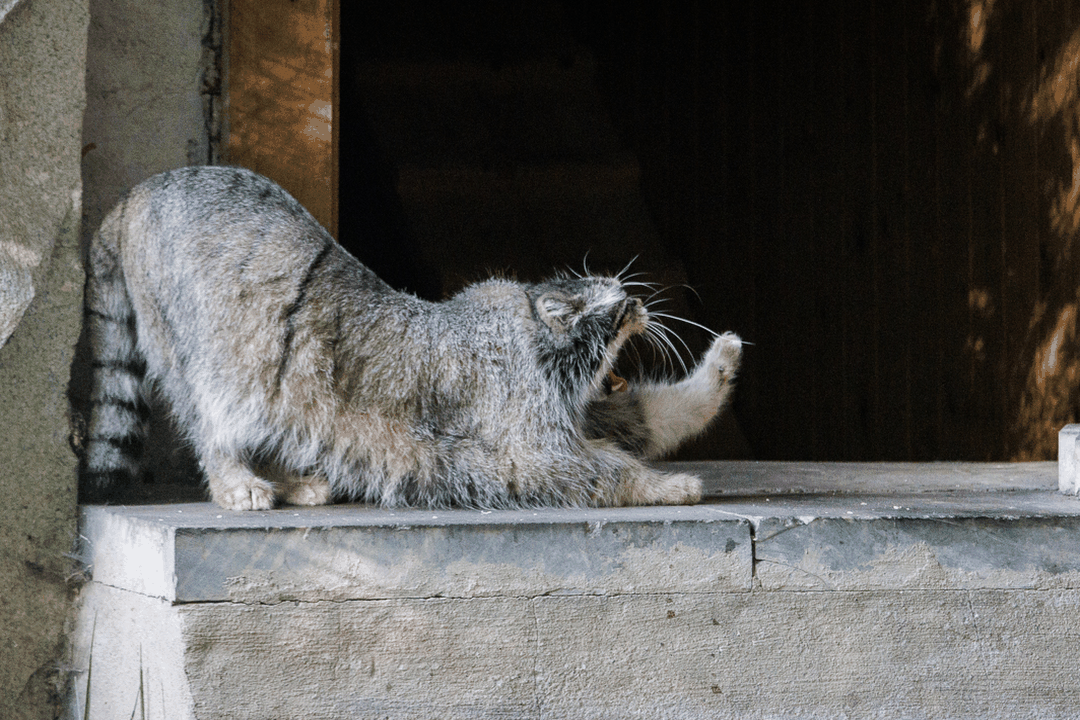 A photograph of Timofey in Moscow zoo