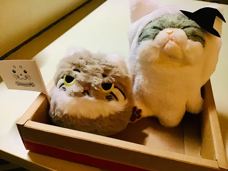 Happy Halloween from My Manul Plushies!