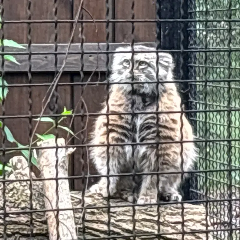 A photograph of Jessie in Warsaw Zoo